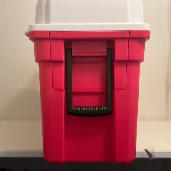 Ryan's World Awesome Cooler Surprise - Picture 5 of 16